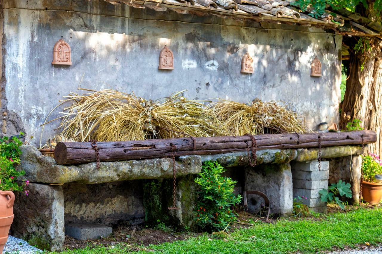 Il Castelletto Del Salamaro Viterbo Zewnętrze zdjęcie