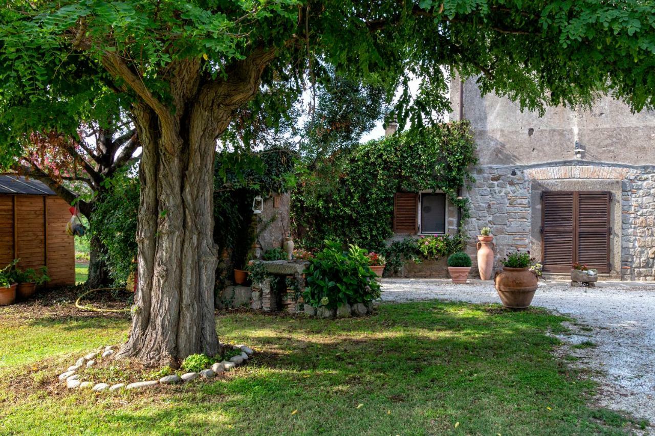 Il Castelletto Del Salamaro Viterbo Zewnętrze zdjęcie